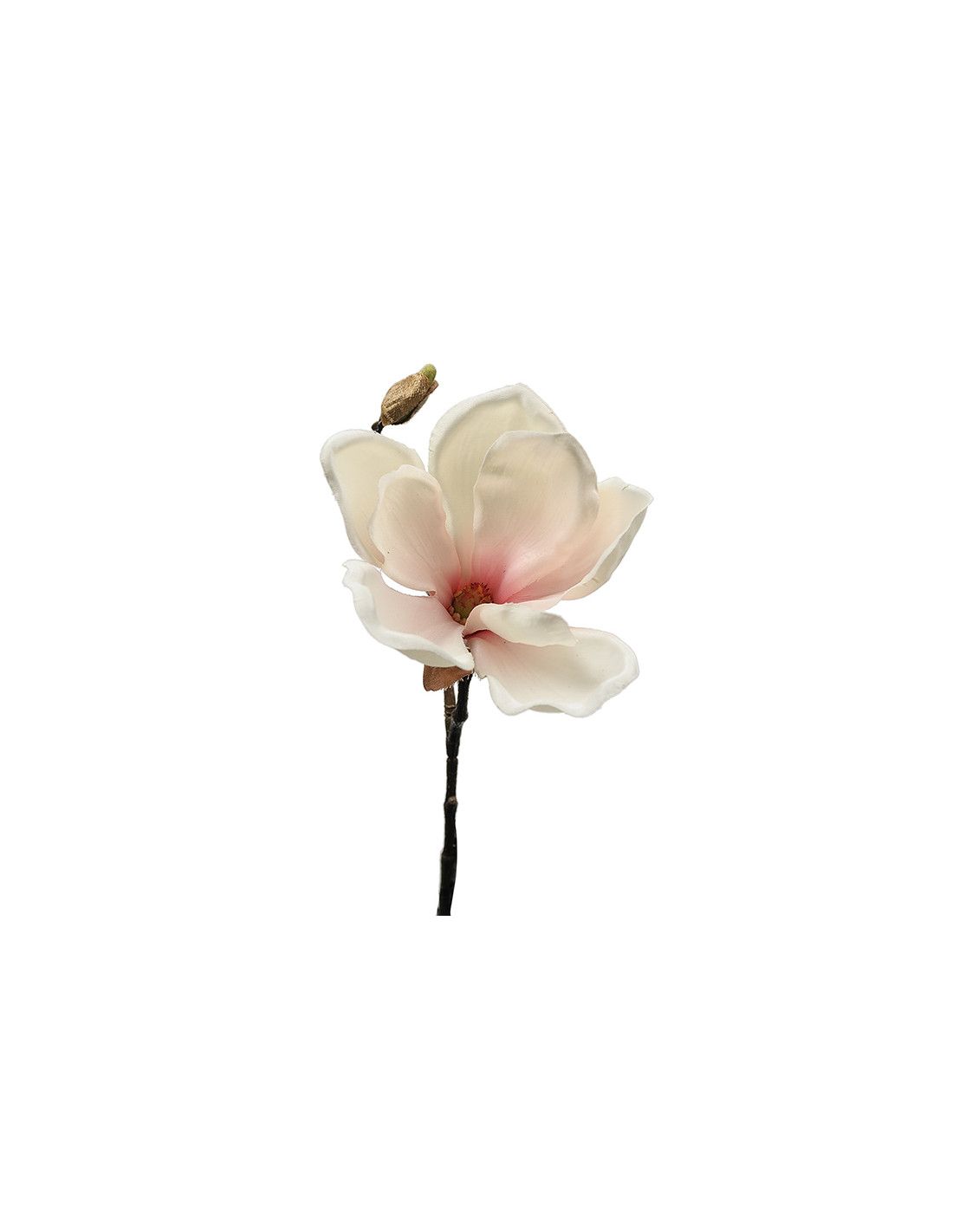 Magnolia | rosa | 30cm